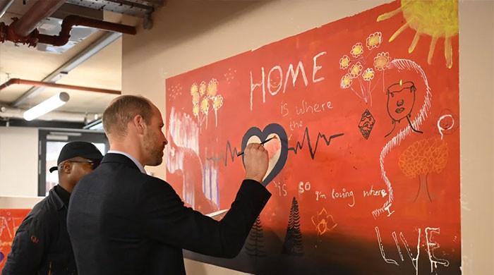 Prince William honours Diana's legacy with 'wall of hope'