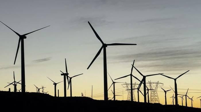 Big win for US' renewable energy: Federal judge revokes Trump's wind power ban