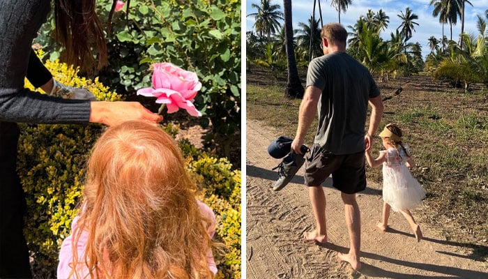 Princess Lilibet receives surprise nod from royals before Christmas