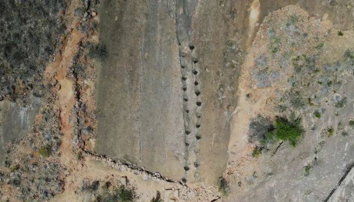World’s largest dinosaur track site discovered in Bolivia, capturing ‘ancient superhighway’