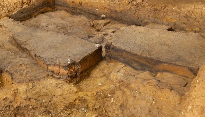 Excavation of the ancient campfire at an archaeological site near the village of Barnham in England, dating to around 400,000 years ago, removing diagonally opposed quadrants. The reddened sediment between band B?, is heated clay in this handout image released on December 10, 2025. — Reuters
