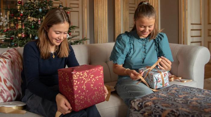 Danish royals share exciting moment in special treat: watch