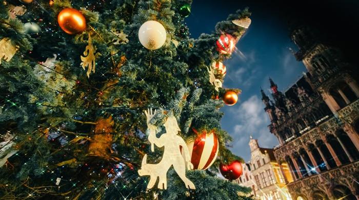 Belgium's royal palace embraces holidays in exciting update