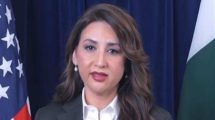 US envoy says Exim financing to bring $2bn in mining equipment for Reko Diq