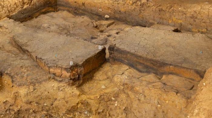 Human fire-making traced back 415,000 years in latest discovery