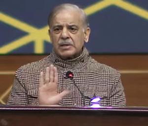 Not witchcraft but hard work key to Pakistan's progress: PM