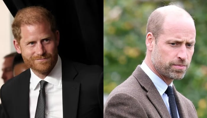 Prince Harry drops bombshell on William as powerful UK plot exposed