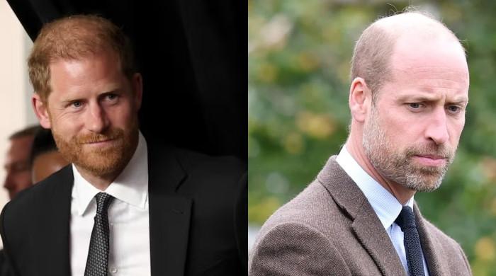 Prince Harry drops bombshell on William as powerful UK plot exposed