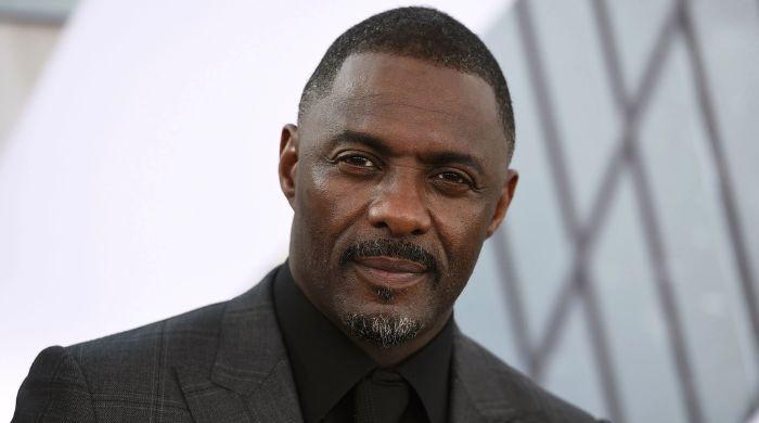 Idris Elba 'fears' that his latest career decision might upset fans