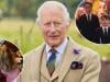 King Charles reveals his favourite grandchild with special gesture