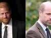 Prince Harry drops bombshell on William as powerful UK plot exposed