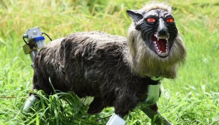 Japan deploys ‘Monster Wolf robots with glowing red eyes to stop bear attacks