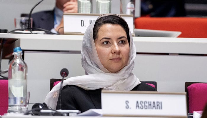 Afghanistans International Olympic Committee member Samira Asghari is seen is this undated image. — X@iocmedia