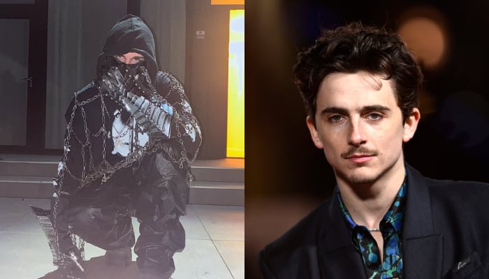 Timothée Chalamet deepens masked rapper mystery with shocking update