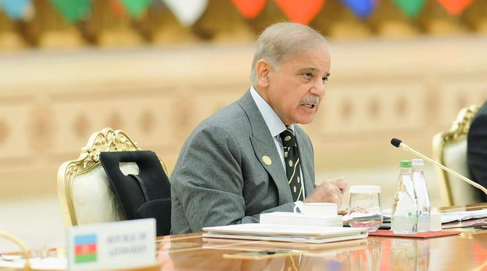 PM Shehbaz seeks global pressure on Kabul over 'new terror threat'