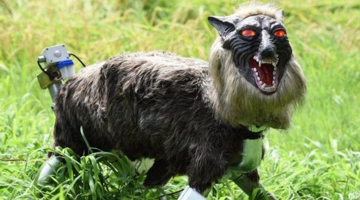 Japan deploys ‘Monster Wolf' robots with glowing red eyes to stop bear attacks