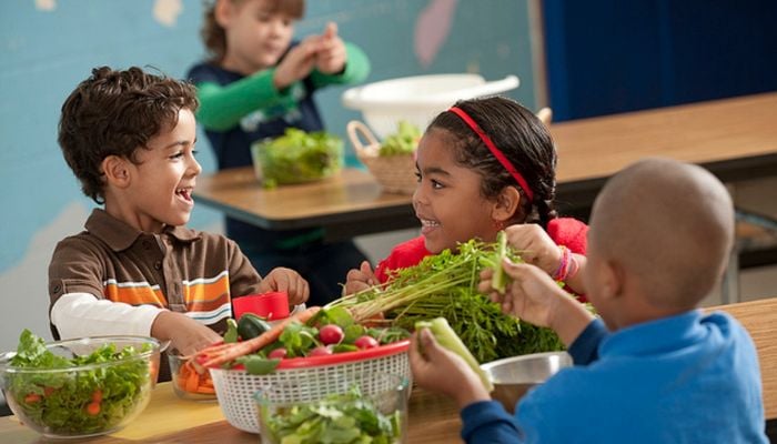 How vegan diets affect children’s growth: Shorter, leaner than peers, require careful planning