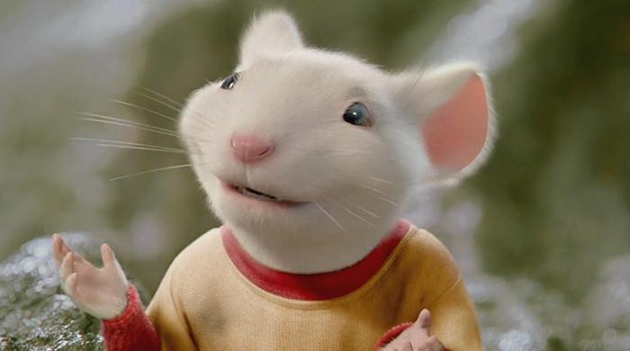 'Stuart Little': Bombshell claim sends fans into frenzy