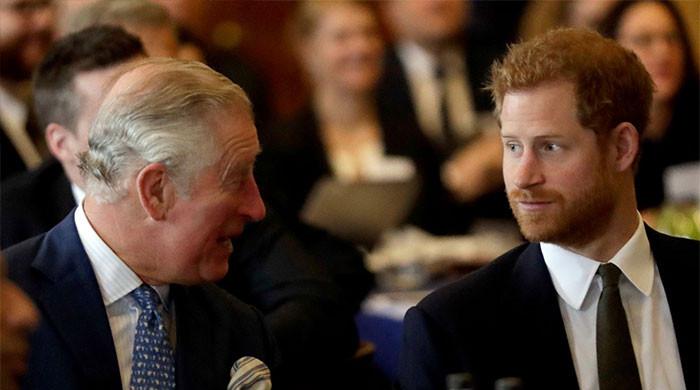 King Charles finds Harry's dig ‘pretty harmless'