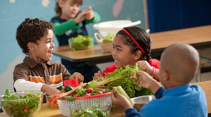 How vegan diets affect children's growth: Shorter, leaner than peers, require careful planning