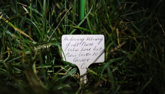 Princess Kate illuminates Chelsea garden