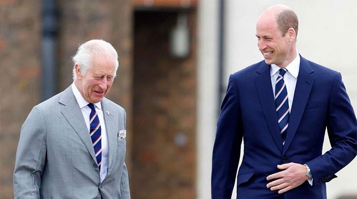 King Charles's green act crumbles as royal riches come into focus