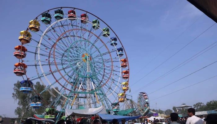 Visitors enjoying swing on a Ferris wheel at a picnic point. — APP/File
