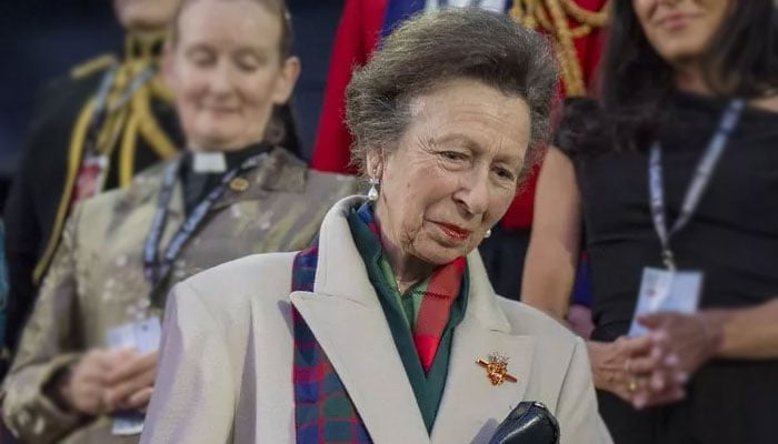 Princess Anne drops truth behind royal duties in candid statement