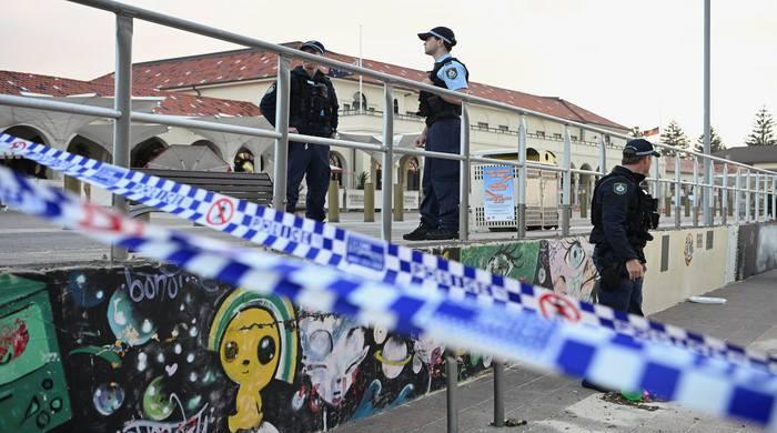 Bondi Beach shooting: Musk's Grok chatbot allegedly spread misinformation about incident