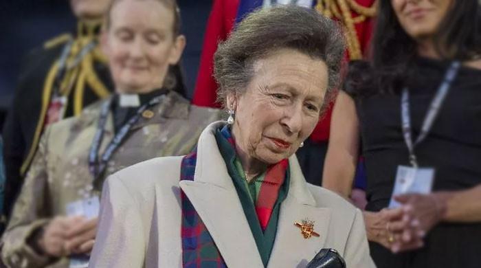 Princess Anne drops truth behind royal duties in candid statement 