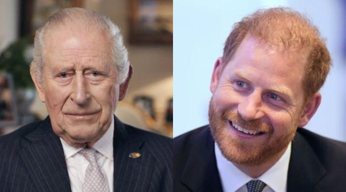 King Charles delivers good news to Prince Harry: 'reset button'