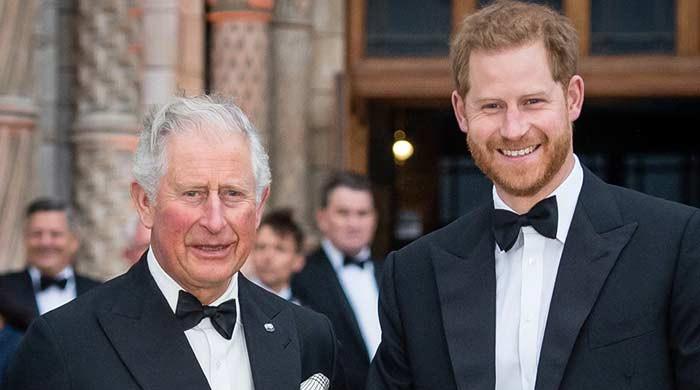 King Charles, Prince Harry's reunion in US: 2026 to bridge royal divide