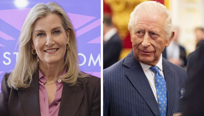 Duchess Sophie delivers King Charles message to mark historic reunion