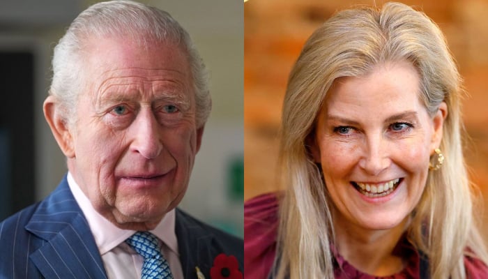 Buckingham Palace unveils King Charles encouraging words as Sophie fulfils task