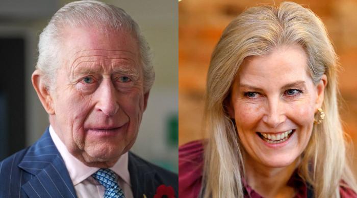 Buckingham Palace unveils King Charles encouraging words as Sophie fulfils task 