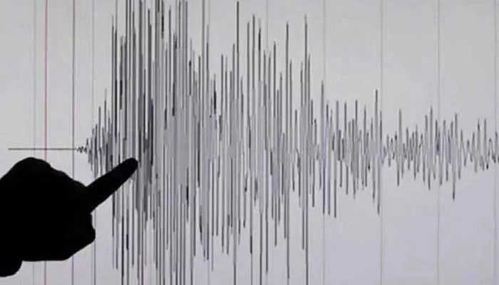 Picture showing a Richter Scale reading of a earthquake. — Reuters/File