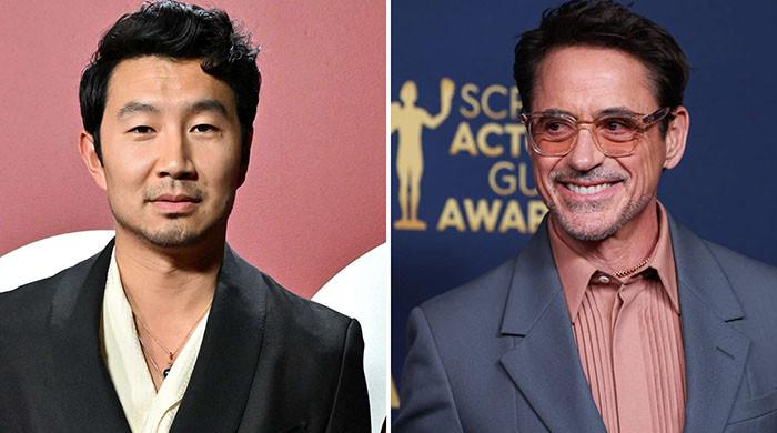 Simu Liu recalls embarrassing meeting with 'Avengers' costar Robert Downey Jr.