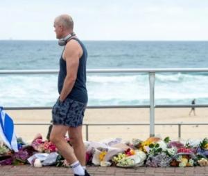 Bondi Beach attack: FATF asked to examine Indian links to terrorist outfits