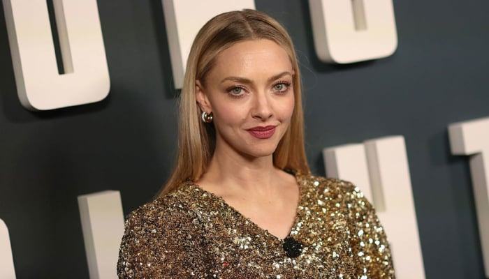 Amanda Seyfried offers disclaimer for Housemaid movie with Sydney Sweeney
