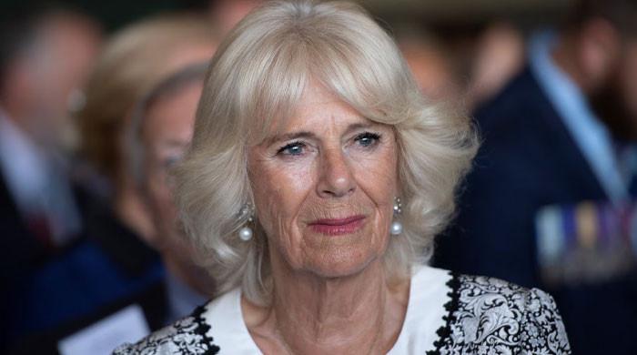 Queen Camilla keeps focus away from Kate, William's moment in quiet move