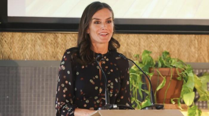 Queen Letizia's lighthearted confession delights fans: watch