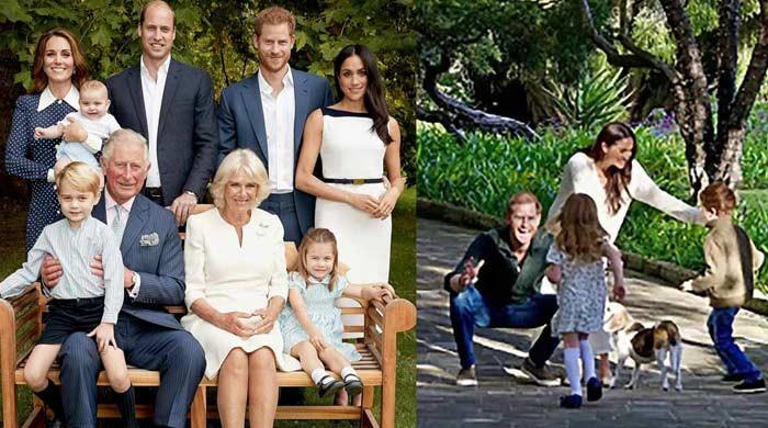 Prince Harry's alleged label for his son Archie sparks fresh debate