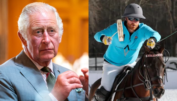 King Charles expresses sadness in message as Prince Harry suffers injury