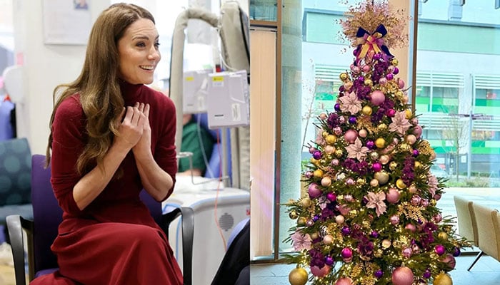 Princess Kates Christmas tree lights up Royal Marsden with extra meaning