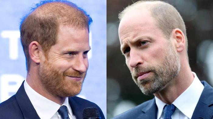 Prince Harry causes fresh tension with future King William: 'Can't be real'