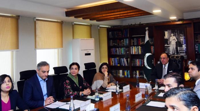 Pakistan plans issuing inaugural $250m Panda Bond tranche in January