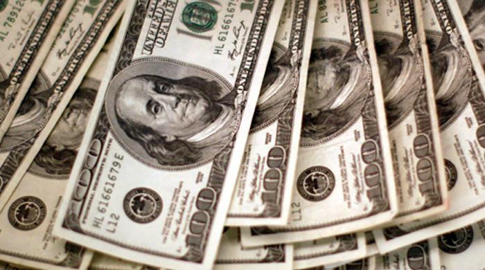 Govt plans issuing inaugural $250m Panda Bond tranche in January