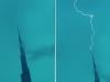 WATCH: Lightning strikes Burj Khalifa as heavy rains lash parts of UAE