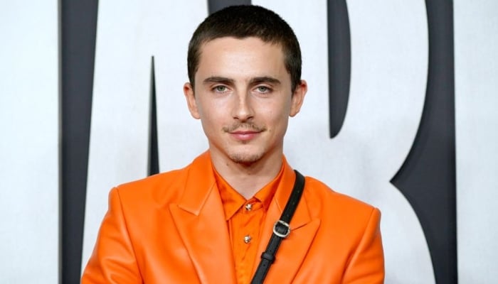 Timothée Chalamet drops rap collab with EsDeeKid after viral rumours