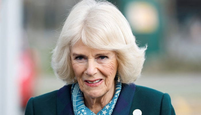 Queen Camilla takes big risk ‘stepping into’ Royal Lodge rift with Andrew